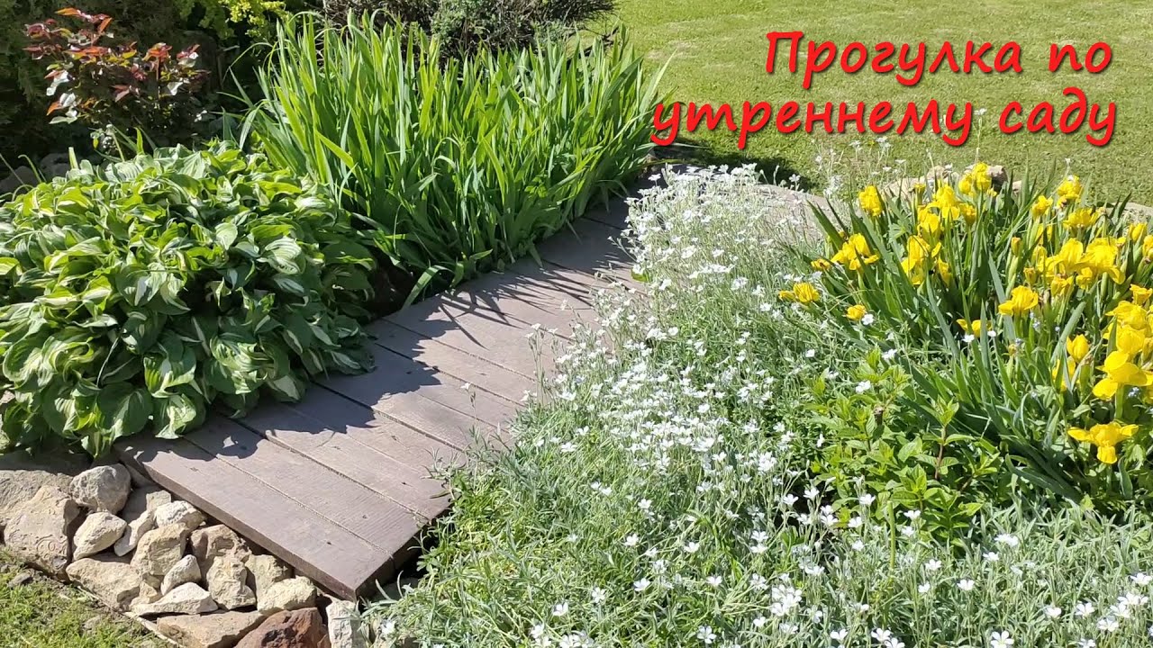 Как Вам ТАКОЙ формат видео? Лето, сад, Подмосковье. Garden in summer in Russia