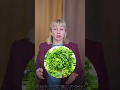 11 июля 2025 г.