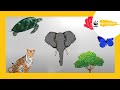 Endangered Species and Human Impact