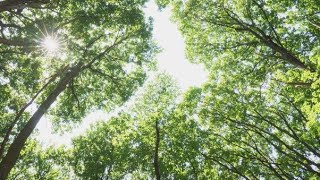 My Village #video