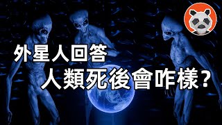 巴夏通靈事件：人類時候會咋樣？時間的真相？怎麼延長壽命？【🐼熊貓周周】