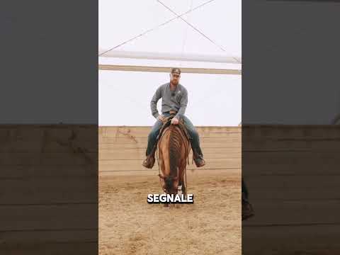 Perché gli stivali da cowboy avevano una rotellina di metallo?