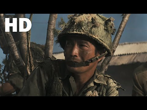 들국화는 피었는데(1974) 복원본 / The wild flowers in the battle field(Deulgughwaneun pi-eossneunde)