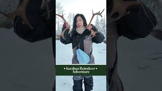Kuoksa Reindeer Adventure in Rovaniemi, Lapland