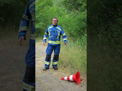 Umgekippte Kegel im Wald? 🚒