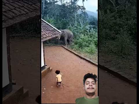 Mind-blowing Gadgets and tools Revealed 🚀 #short #Gadgets 168