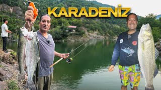 🌲 Artvin, Şavşat, Rize, Çamlıhemşin, Levrek, Somon 🎣🔥