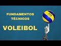 Volleyball Techniques and Fundamentals