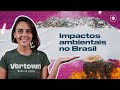 Impactos Ambientais e Sustentabilidade
