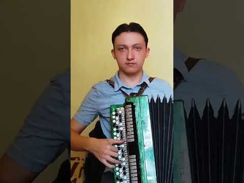"Розкажи мені, мамо, про долю" – чудова українська пісня на баяні