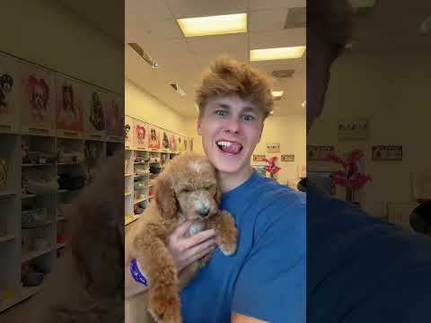 The puppies yall will see Sunday