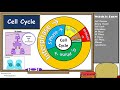 Cell Cycle and Mitosis Concepts