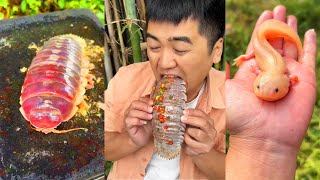 Cooking Super Spicy Food in a Funny Way, Funny Cuisine | Dawei