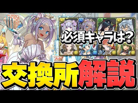 強多色リーダーは必須級？ジューンブライド交換所解説！知らないと損！【パズドラ】