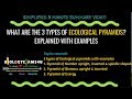 Ecological Pyramids and Energy Flow