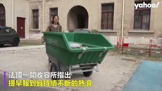 熱浪一波波來襲 以色列內陸51℃創紀錄 梵蒂岡教宗接見活動改室內 法國動物救援暴增兩倍