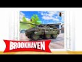 Brook Haven Game Features and Updates