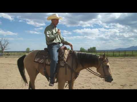 Brad Barkemeyer: Riding Without Stirrups