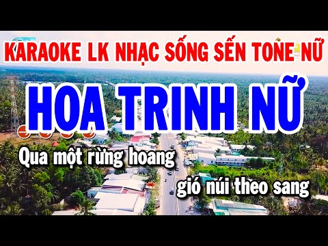 Kaaoke Liên Khúc Nhạc Sến Trữ Tình Dễ Hát Tone Nữ | Hoa Trinh Nữ – Bài Ca Kỷ Niệm