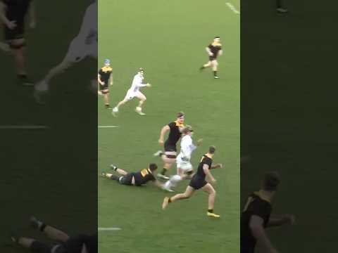 Teenage Henry Pollock was a cheat code!