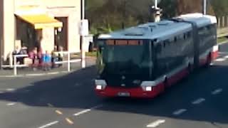 Autobus
