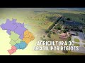 Agriculture in Brazil: Regional Overview