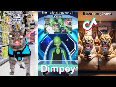 * NEW * Dimpey6 Shorts Compilation 2024 | Funny Dimpey TikToks Video