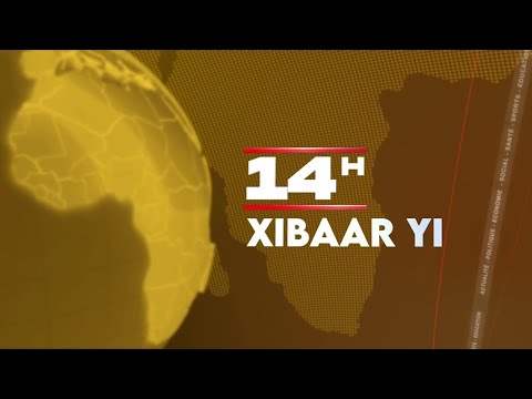 Xibaar Yi 14h00 du 11 janvier 2025 sur Walf TV