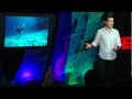 Marine Ecosystems and Conservation