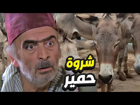 شروة حمير بسببها طمع ابو نجيب بالزواج من أرملة صار ملياردير الشام كلها 👌 زمن البرغوث