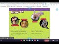 Exploring the World of Bats