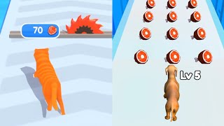 Cat VS Dog Evolution Run - All Levels Speed run Gameplay