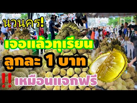 ทุเรียนหมอนทองลูกละ1บาทขายได้ยังไง‼️ขายแบบนี้แอดมินยุทธทุเรี