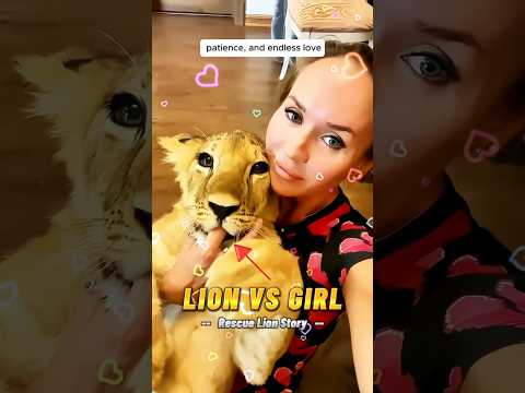 #rescueanimals பாசமுள்ள சிங்கம்🦁| Rescue Lion in Godown #rescue