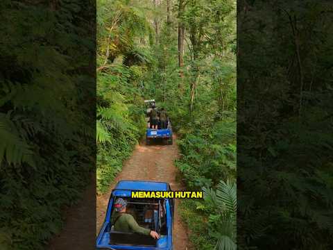 Anti macet dan anti ganjil genap. #lensparadise #jimny #funoffroadpuncak #explore