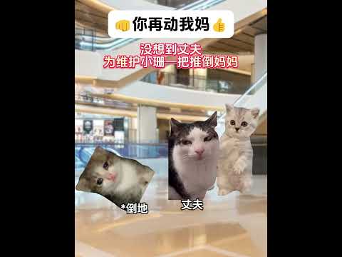 猫が眼鏡をつかみ攻撃！かわいさと笑いが詰まった動画 サムネイル