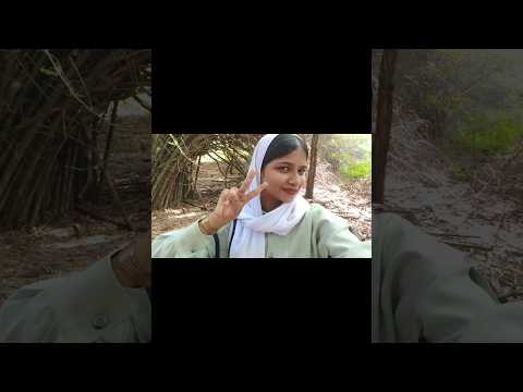 𝐓𝐡𝐨𝐝𝐮𝐤𝐚𝐩𝐩𝐮 𝐊𝐮𝐧𝐧 𝐞𝐜𝐨 𝐭𝐨𝐮𝐫𝐢𝐬𝐦⛰️❤️‍🔥#travelvlog #keralabeauty #vlogging #subscribenow #minivlog