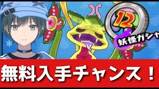 「ぷにぷに」12周年コインで極ツチノコが当たる件