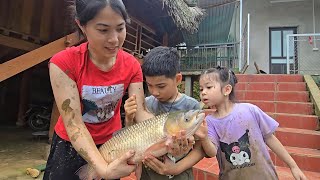 Gạn ao bắt cá - Cả nhà vây bắt con cá to nuôi 6 năm trơn tuồn tuột