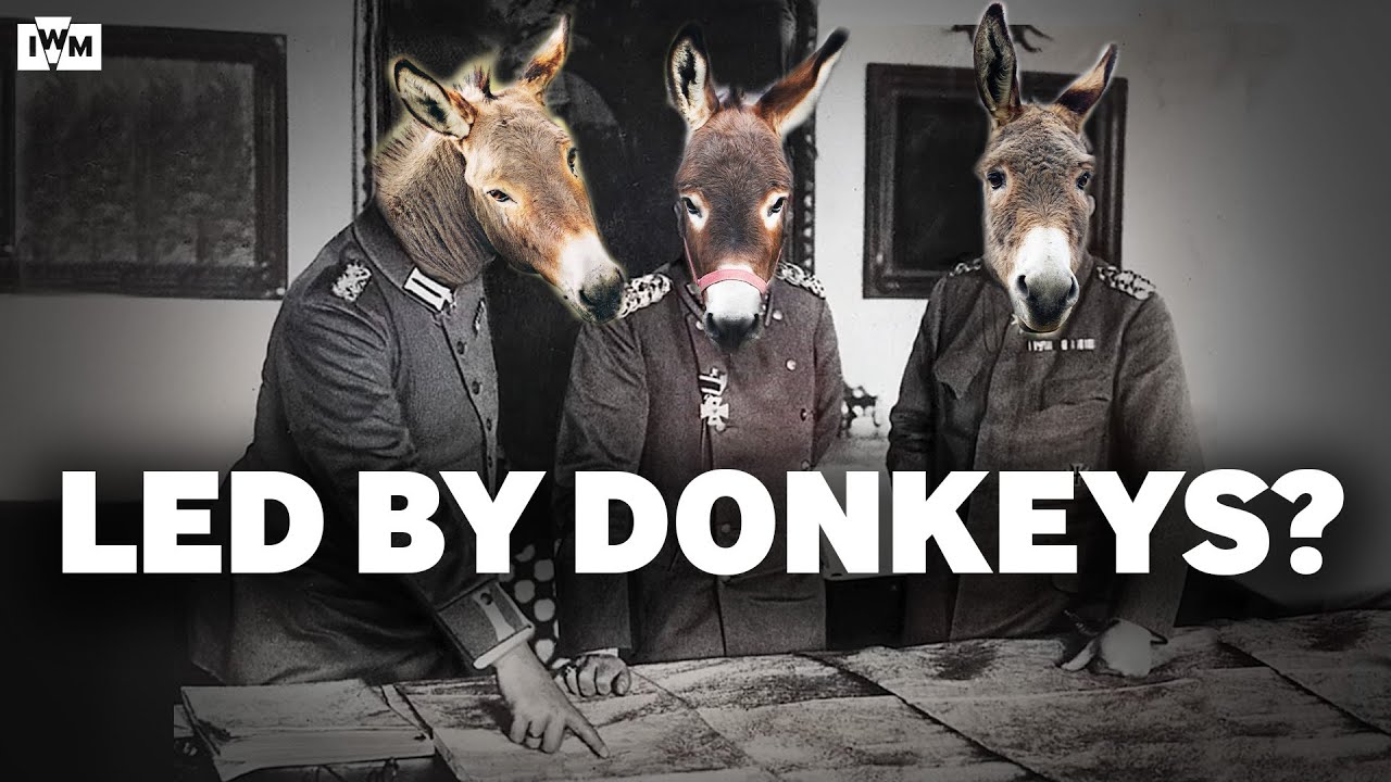 Why WW1 British Soldiers were NOT 'Lions led by Donkeys'