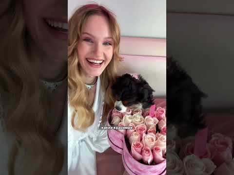 Как считаете, кто выиграл? Я думаю, что третий парень #жизньмиллионера