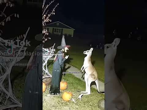 🧙‍♀️ kicked 🦘