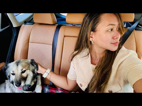 TIP©️para tuloy-tuloy ang pangungurakot sa Kaban nang Bayan nang Filipinas©️