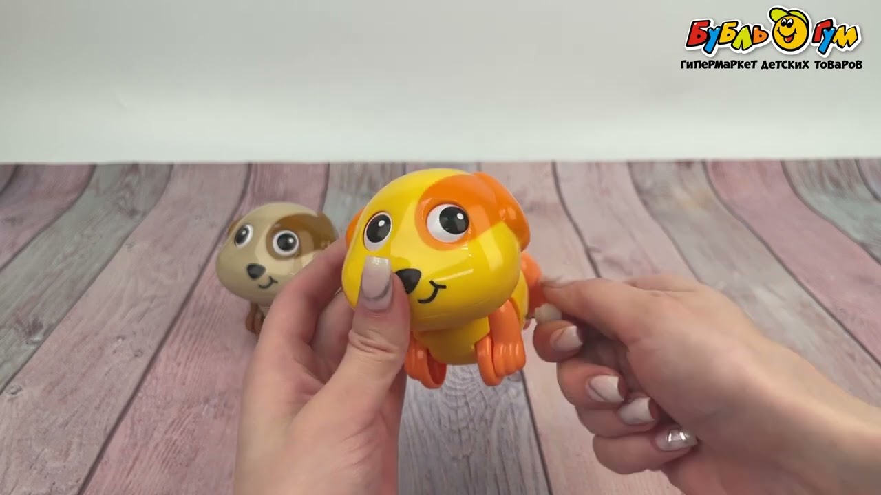 Игрушка заводная Hola Собачка в ассортименте - видео Игрушка заводная Hola Собачка в ассортименте - видео