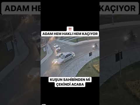 SİZCE NEDEN KAÇMIŞ OLABİLİR❓Adres/Muğla