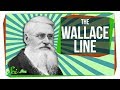 Wallace Line and Species Distribution