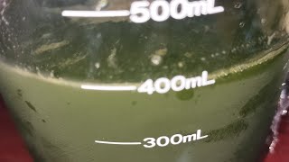 本日の愛妻無添加ごはん。スロージューサーでスイカ小松菜ジュース。皇暦2685年8月4日撮影。