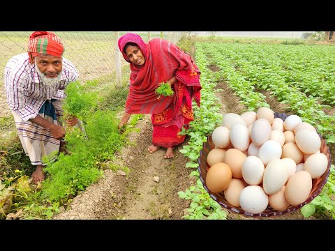 WINTER VILLAGE FOOD Green Egg Curry ধনে পাতা দিয়ে ডিমের মাংস রান্না Coriander Leaf Egg Meat Recipes