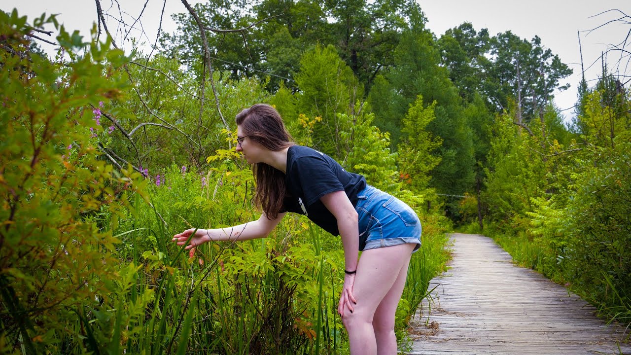 Identifying over 65 Plants and Mushrooms on the Pinckney Trail - AdventureArchives