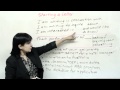 Effective Email Communication Skills